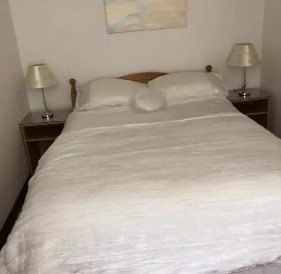 ペンション Brown S Guest House