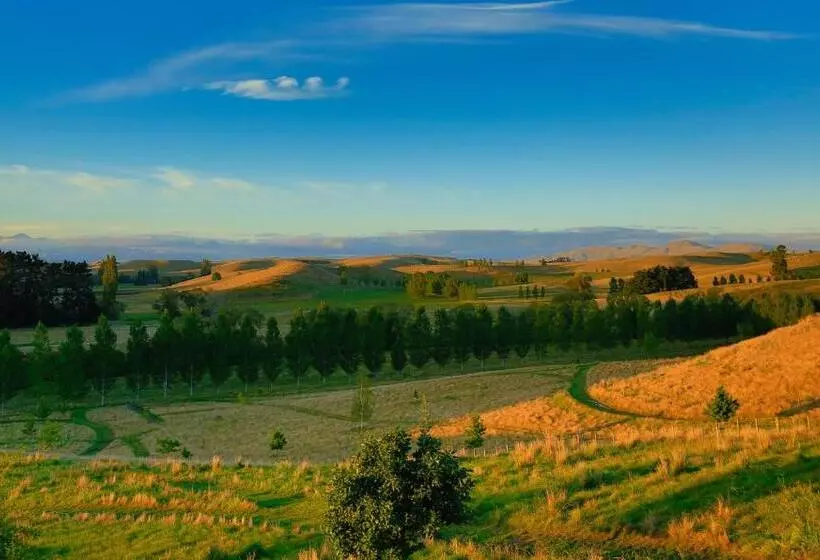 Tree House Lodge Bed & Breakfast