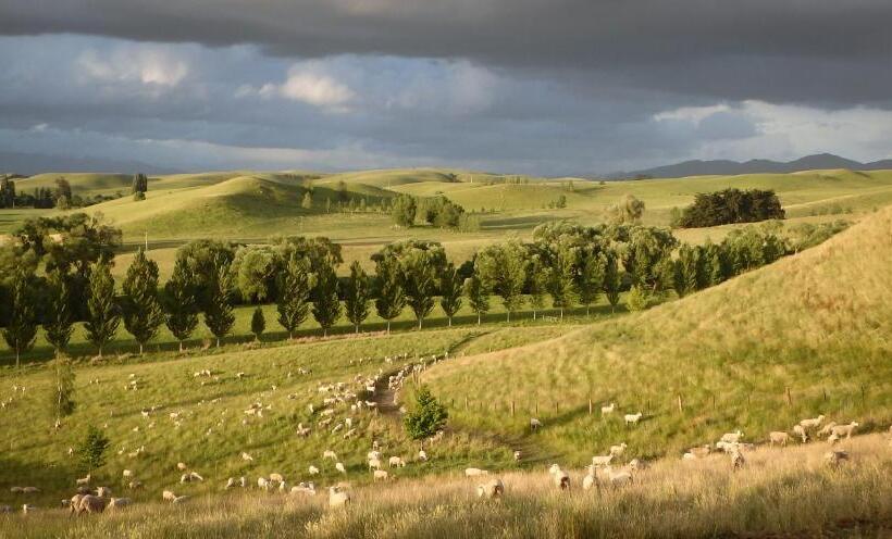 Tree House Lodge Bed & Breakfast