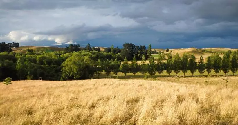 Tree House Lodge Bed & Breakfast