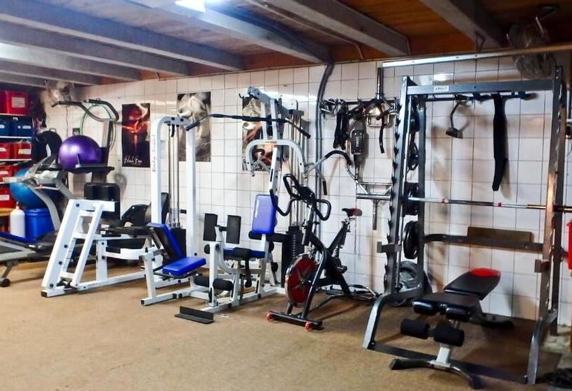 Tree House Lodge Bed & Breakfast