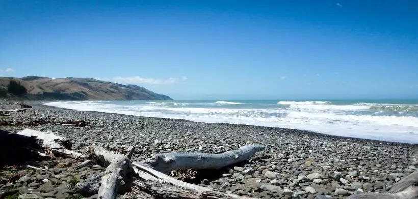 Tree House Lodge Bed & Breakfast