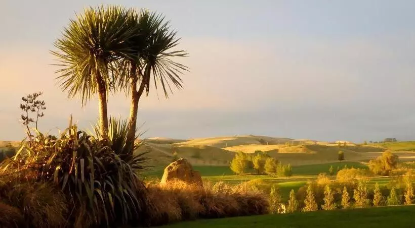 Tree House Lodge Bed & Breakfast