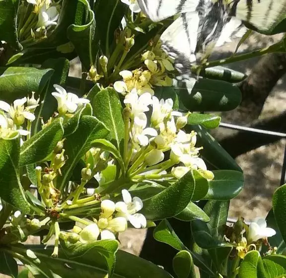 Aamiaismajoitus (B&B) Borgo Della Rocca