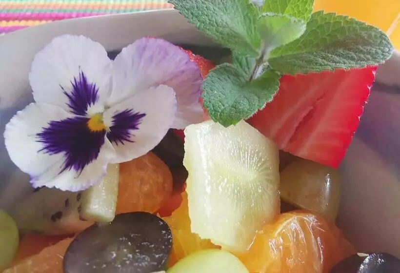 Aamiaismajoitus (B&B) Eloff Guest House And Gallery