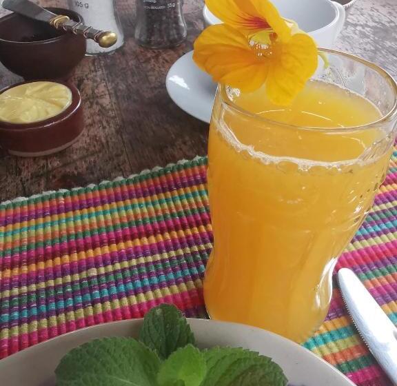 민박 Eloff Guest House And Gallery