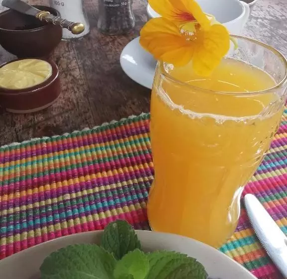 Aamiaismajoitus (B&B) Eloff Guest House And Gallery