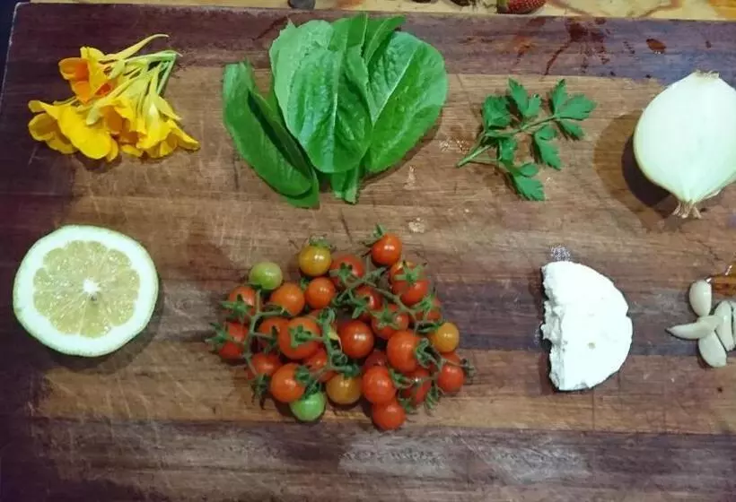 Aamiaismajoitus (B&B) Eloff Guest House And Gallery