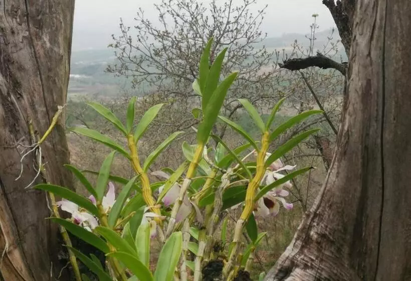 Aamiaismajoitus (B&B) Eloff Guest House And Gallery