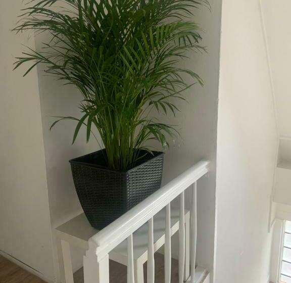 Отель & Hostel Albstadt