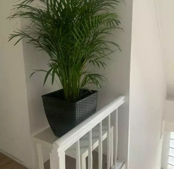 ホテル & Hostel Albstadt