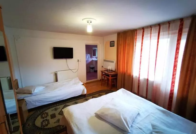 Pensiunea La Ionica