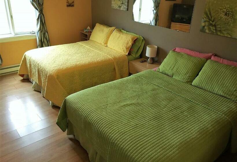 Bed and Breakfast Gîte Du Moulin