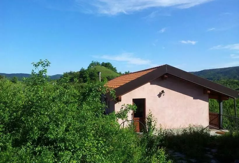 Aamiaismajoitus (B&B) La Volpe E La Luna