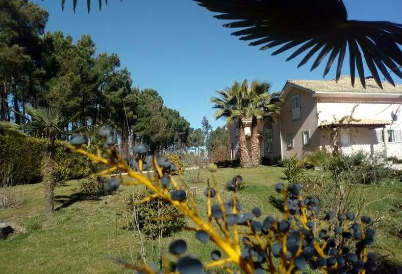 پانسیون Casa Do Soito