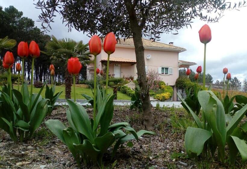 Пансион Casa Do Soito