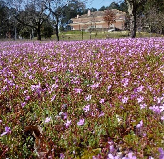 Пансион Casa Do Soito