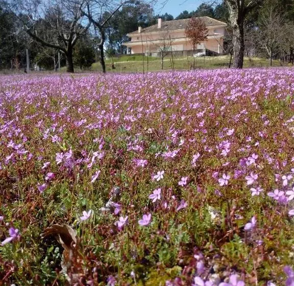 پانسیون Casa Do Soito