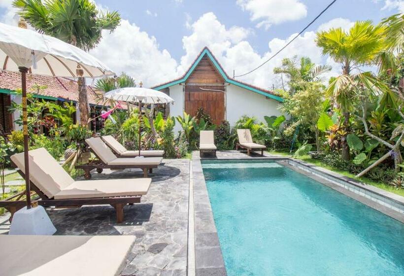 بنسيون Comeback Guesthouse By Bukit Vista