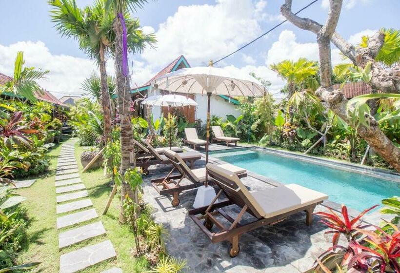 بنسيون Comeback Guesthouse By Bukit Vista