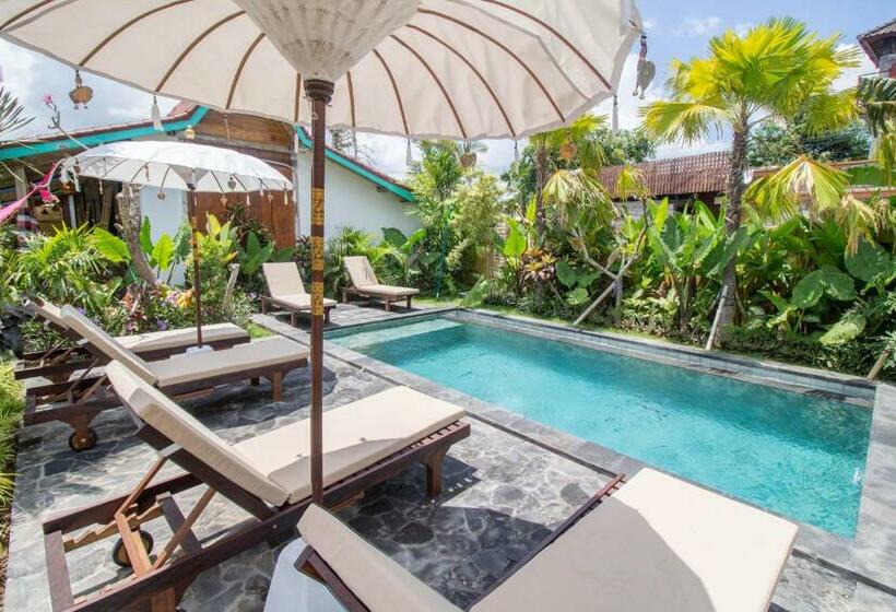 بنسيون Comeback Guesthouse By Bukit Vista