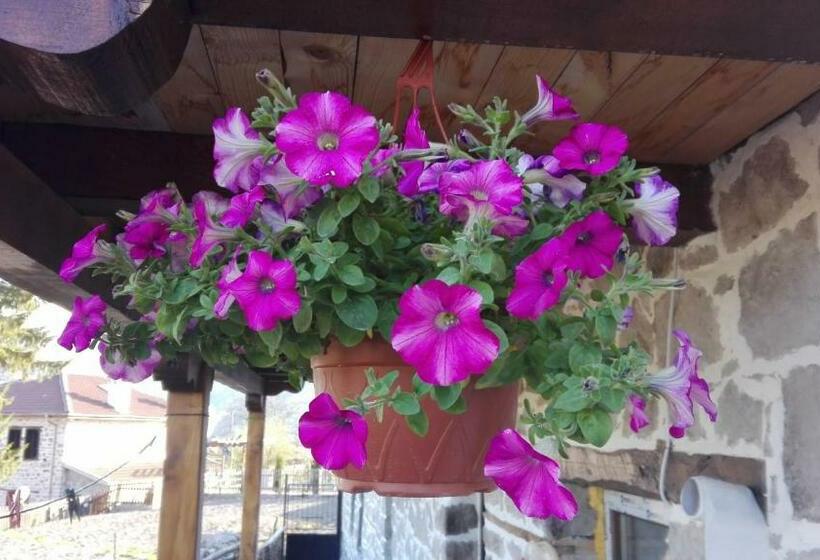 פנסיון Semana Guesthouse