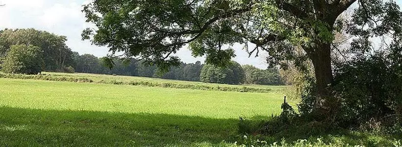 Pension & Gasthof Storchennest