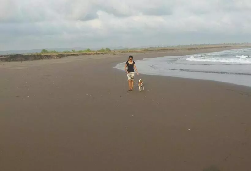 Bed and Breakfast Java Lagoon