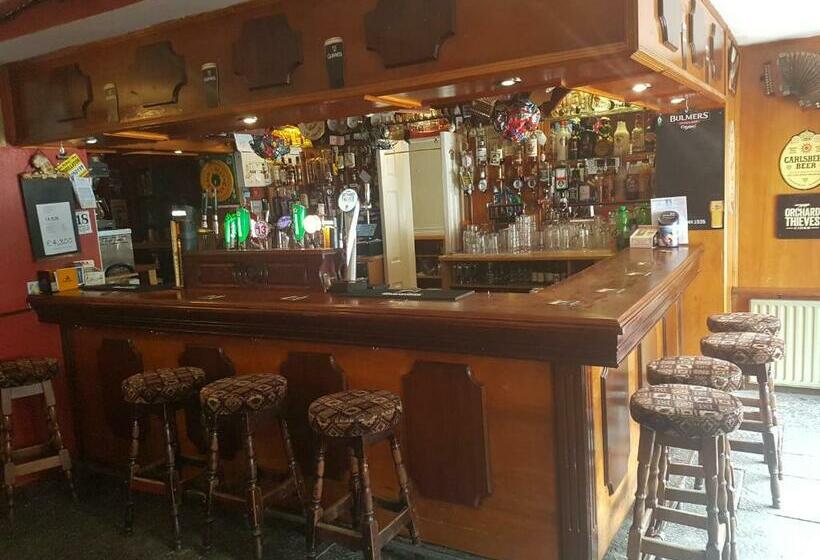 住宿加早餐 O Loughlin S Bar