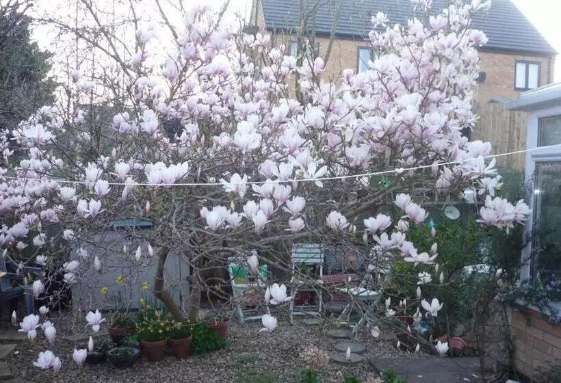 Aamiaismajoitus (B&B) The Little Annexe