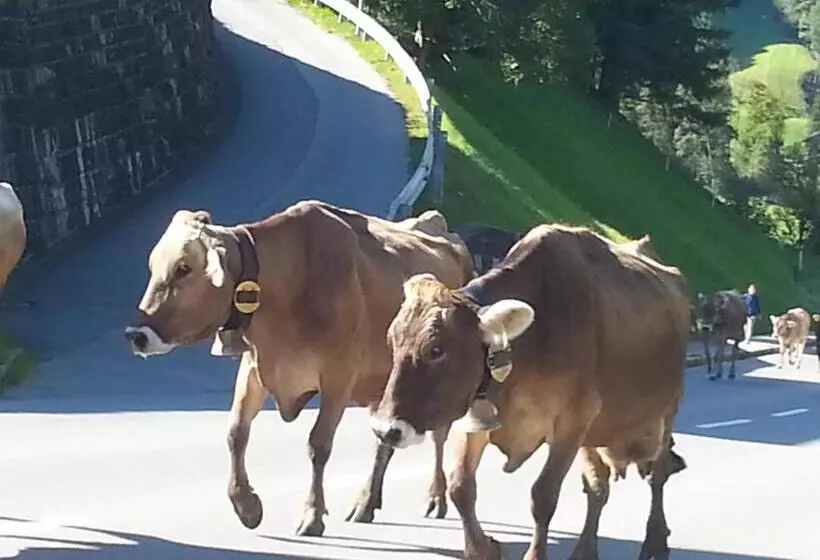 Hotelli Bauernhof Dünser