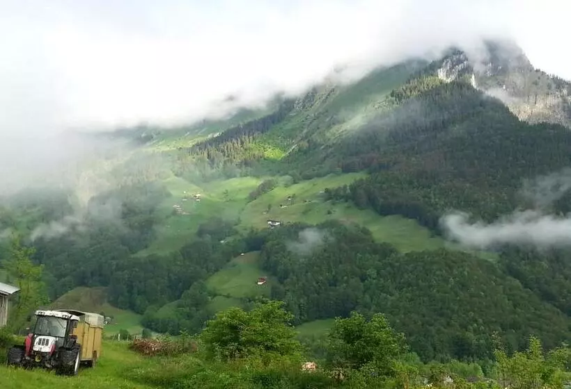 Hotelli Bauernhof Dünser