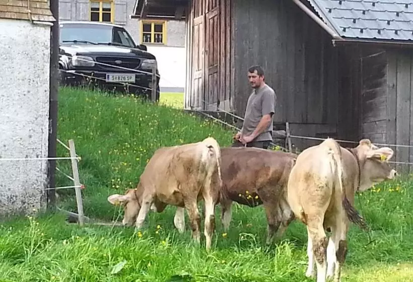 Hotelli Bauernhof Dünser