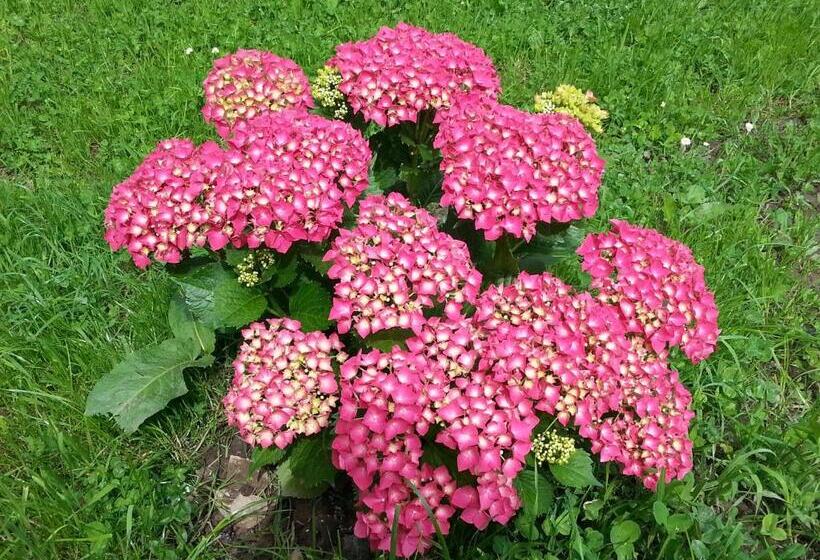 Hotell Bauernhof Dünser