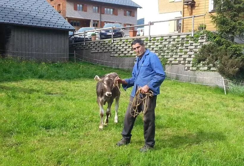 Hotelli Bauernhof Dünser
