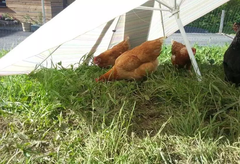 Hotelli Bauernhof Dünser