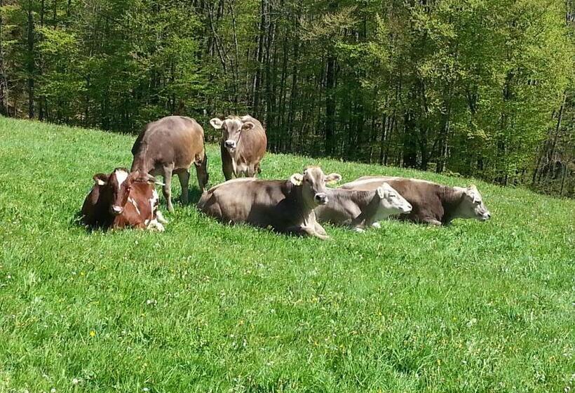 Hotell Bauernhof Dünser