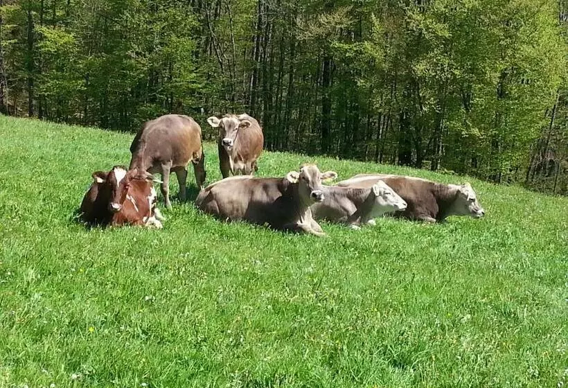 Hotelli Bauernhof Dünser