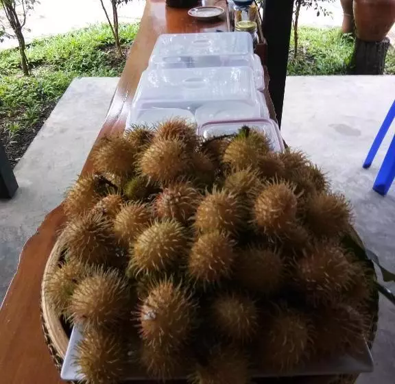 ペンション Ban Suan Sukjai Mae Sariang