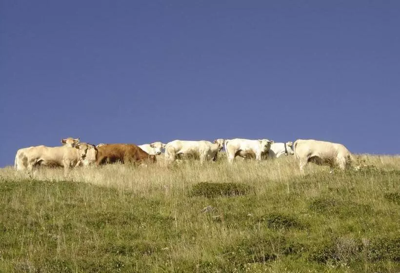 Majatalo Gîte Le Cerf De Belledonne