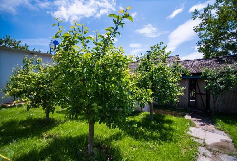 Pensiunea La Gura Portitei   Jurilovca