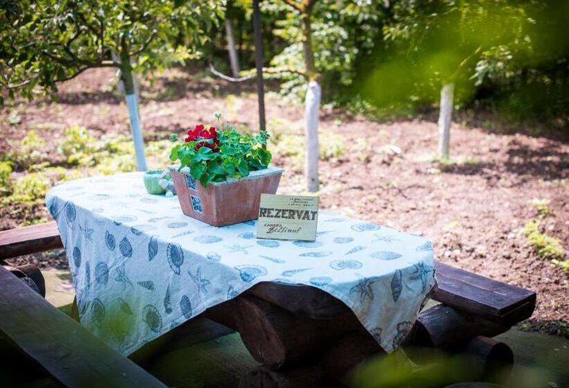 Pensiunea La Gura Portitei   Jurilovca