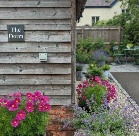 The Dorm Bed And Breakfast