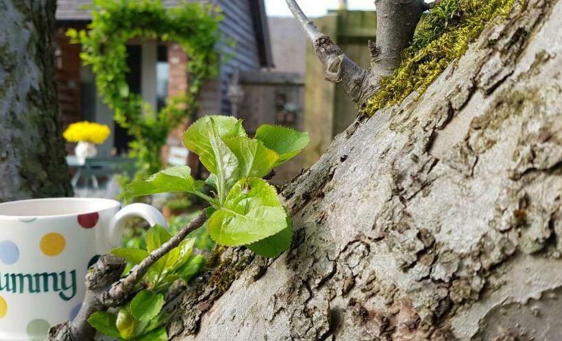 The Dorm Bed And Breakfast