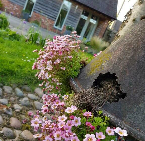 The Dorm Bed And Breakfast