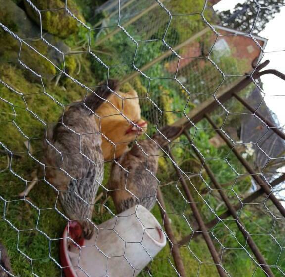 The Dorm Bed And Breakfast