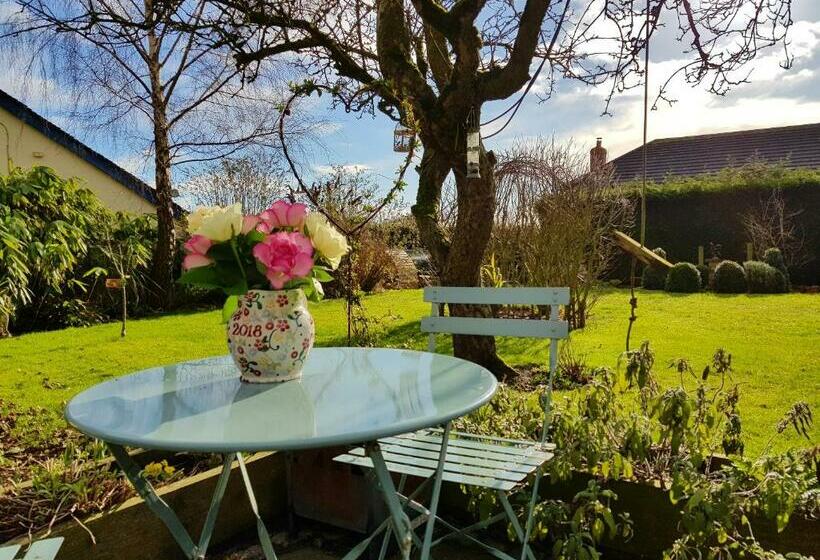 The Dorm Bed And Breakfast