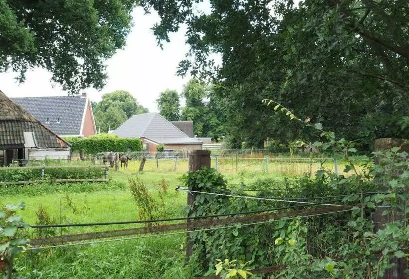 Bed and Breakfast Het Centrum