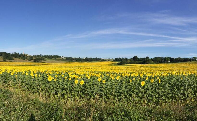 Bed and Breakfast Labarthe
