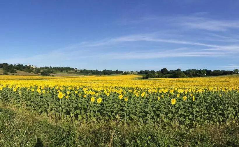 ベッドアンドブレックファースト Labarthe